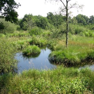 img_4190-aut-trvierk