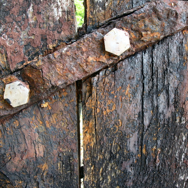 img_6815-auttraut-drtrvierk