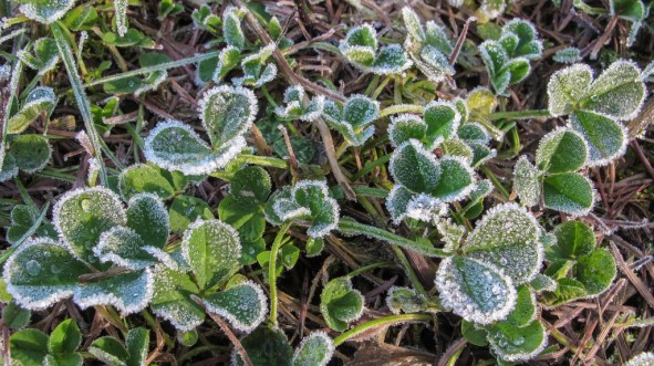 img_8148-1-tr16-9-jpg